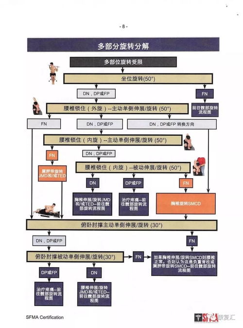 美版本,综合性计划评估 运动版_v5.469