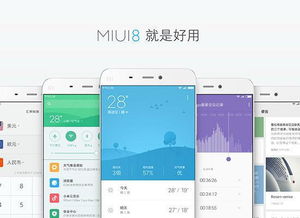 小米版本10之实践计划推进_FHD_v2.432软件评测介绍