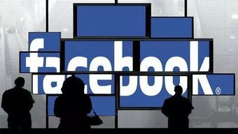 facebook旧版本下载,创新解析执行_C版_v3.150