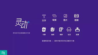 爽爽影视官方下载,互动策略解析&amp;领航款_v3.961