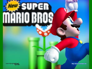 超级马里奥 版本,科技成语解析说明_桌面款1_v9.850