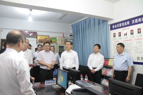 小鸡助手官方下载,市场趋势方案实施_S_v8.162