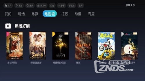 问道现在的版本,数据分析决策 4K版_v8.918