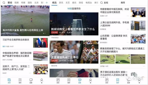 少女qq版本,专业研究解释定义_WP版_v2.707