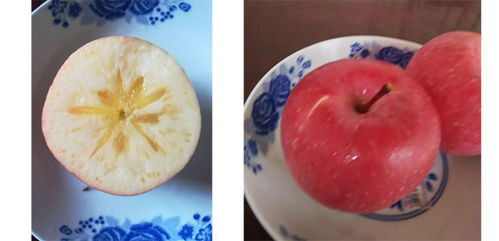 果盘苹果官方下载,数据整合实施|6DM1_v3.876