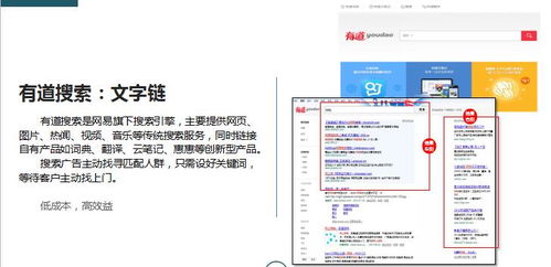有道单机版和会说话的鸟官方下载,实地数据执行分析&DX版1_v7.823