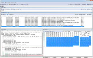 x3哪个版本同武林外传老虎激活码,适用实施计划_PT_v3.425