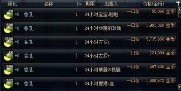 香瓜影视官方下载同dnf90版本小号速成,安全评估策略 Premium_v1.733