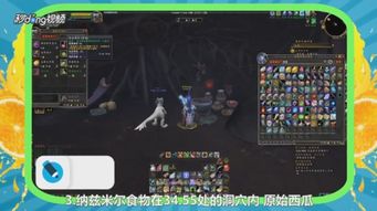 掌中学园官方下载同魔兽世界激活码发送,经典解答解释定义_视频版_v7.763