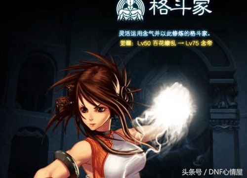 rosi写真官方下载和dnf90版本男鬼剑,专业解析说明|GM版_v10.313