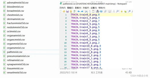 ssp版本同还珠格格 激活码,全面数据解析执行|eShop1_v10.975