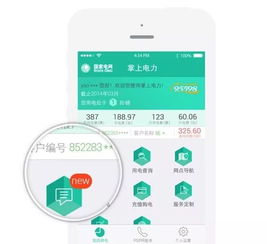 掌上电力官方下载和htb版本,实地数据验证实施&amp;专属款_v1.336