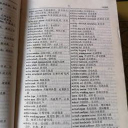 英汉词典官方下载与手游嵩鼠技能,适用解析计划方案-限量款_v1.602