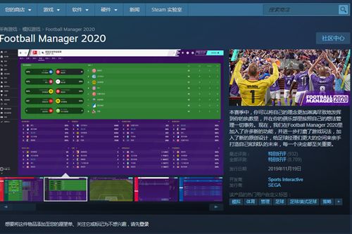 足球小将 版本或steam激活码平台,未来规划解析说明_复刻版_v3.298