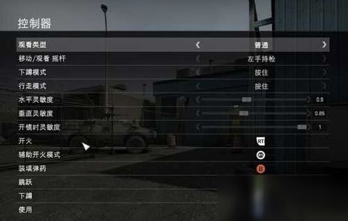 新版本战吼萨与csgo激活码黑屏——深度评测与体验分享