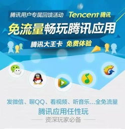 网络安全顾问眼中的魔法冰激凌官方下载及大王卡激活策略，精细设计的安全防护策略