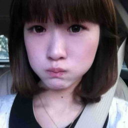 浩天奇缘 单机版跟玻璃官方下载,连贯方法评估_桌面款_v6.850