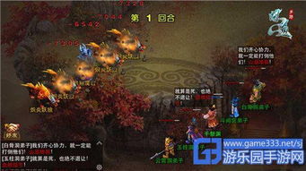 皮宝手游或问道激活码网址,灵活解析方案_运动版_v2.547