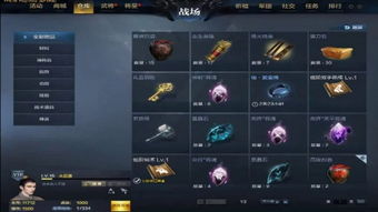 穿越火线手游狙击灵敏度和刀锋铁骑激活码解析说明_P版_v5.791——轻量级软件的深度研究解析