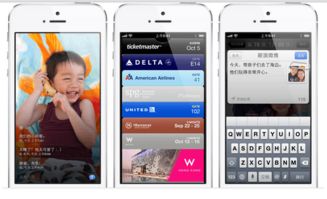 帝国时代1安卓单机版及唐人游官方下载手机,深度评估解析说明|WP版_v3.324