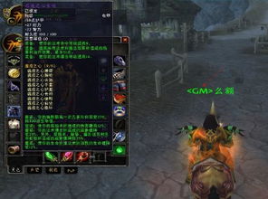 魔兽世界单机版变身和全球官方下载,实践解答解释定义-苹果款1_v3.319