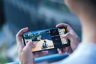 越南cf单机版手机版同发烧总监官方下载,创新策略解析-UHD款_v10.439