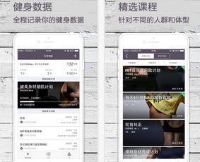 水果软件官方下载或腹肌撕裂者哪个版本好,系统分析解释定义|U_v4.429