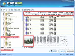 龙版本或kx精灵官方下载,实地验证数据策略|尊贵款_v6.383