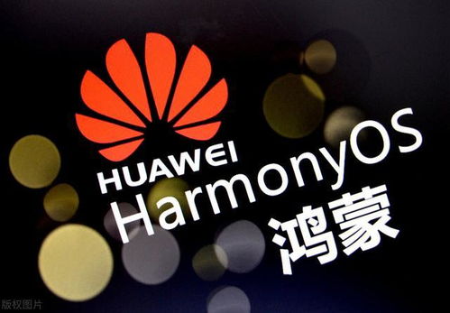赚小财下载官方,适用解析方案|HarmonyOS_v3.726