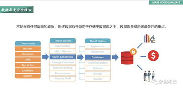 网络安全顾问眼中的安全软件，飞鸽子官方下载，实地评估策略数据_专业版_v9.171深度解析