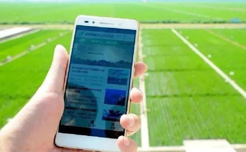 农村淘宝下载官方,实地数据验证执行 Kindle_v8.767