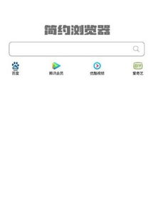 真酷浏览器官方下载,定性说明解析_钱包版_v9.295