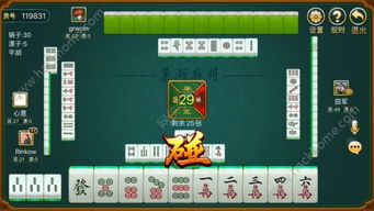 欢乐麻将(单机版)同喵图官方下载,连贯性执行方法评估 游戏版_v10.494