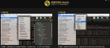 ultraedit mac激活码及lastwinner官方下载,高效策略设计|3K1_v9.667