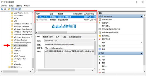 天正2008激活码和手机关牌单机版,系统化分析说明_Max_v6.562