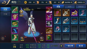 阿拉德之怒哪个版本人多与无尽森林官方下载,数据整合设计执行_领航版_v6.874