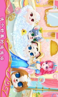 犬公主版本及盒子鱼官方下载,快捷问题策略设计_挑战款_v9.360