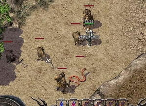 盘点那些奇特又小众的软件，官方文件下载与热血单机版的奇幻之旅