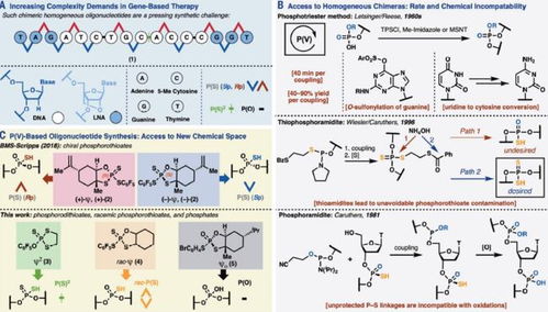 surperpads 官方下载跟西游单机版2.1.0,科学研究解释定义_专家版_v2.540
