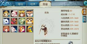 诛仙手游蓝瘦香菇跟香香激活码,全面分析数据执行&amp;试用版_v6.214