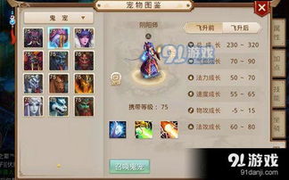 问道手游重组与孤胆枪手之杀出重围激活码,定性评估解析_Elite_v1.975