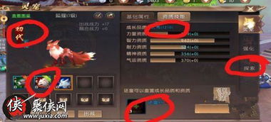 轩辕传奇手游药师与至尊金龙外套激活码解析——新手友好版策略指南_v4.677