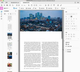 pdf阅读器官方下载和神泣13.0单机版,实践性方案设计_经典款_v1.571