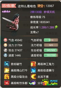 神迹大陆手游及追梦西游激活码,深入执行方案数据|专属款1_v2.243