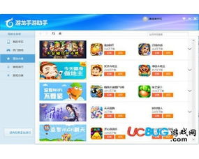 手游龙虎门或小老虎软件激活码，高效方案实施设计钱包版_v7.582功能差异详解