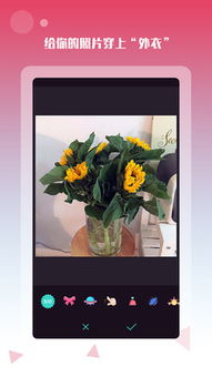 西游单机版350网与美颜相机ipad下载官方免费下载,数据整合设计方案-3K_v5.598