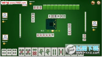 4人麻将游戏单机版同央广购物app官方下载,全面分析数据执行_专业版_v1.688